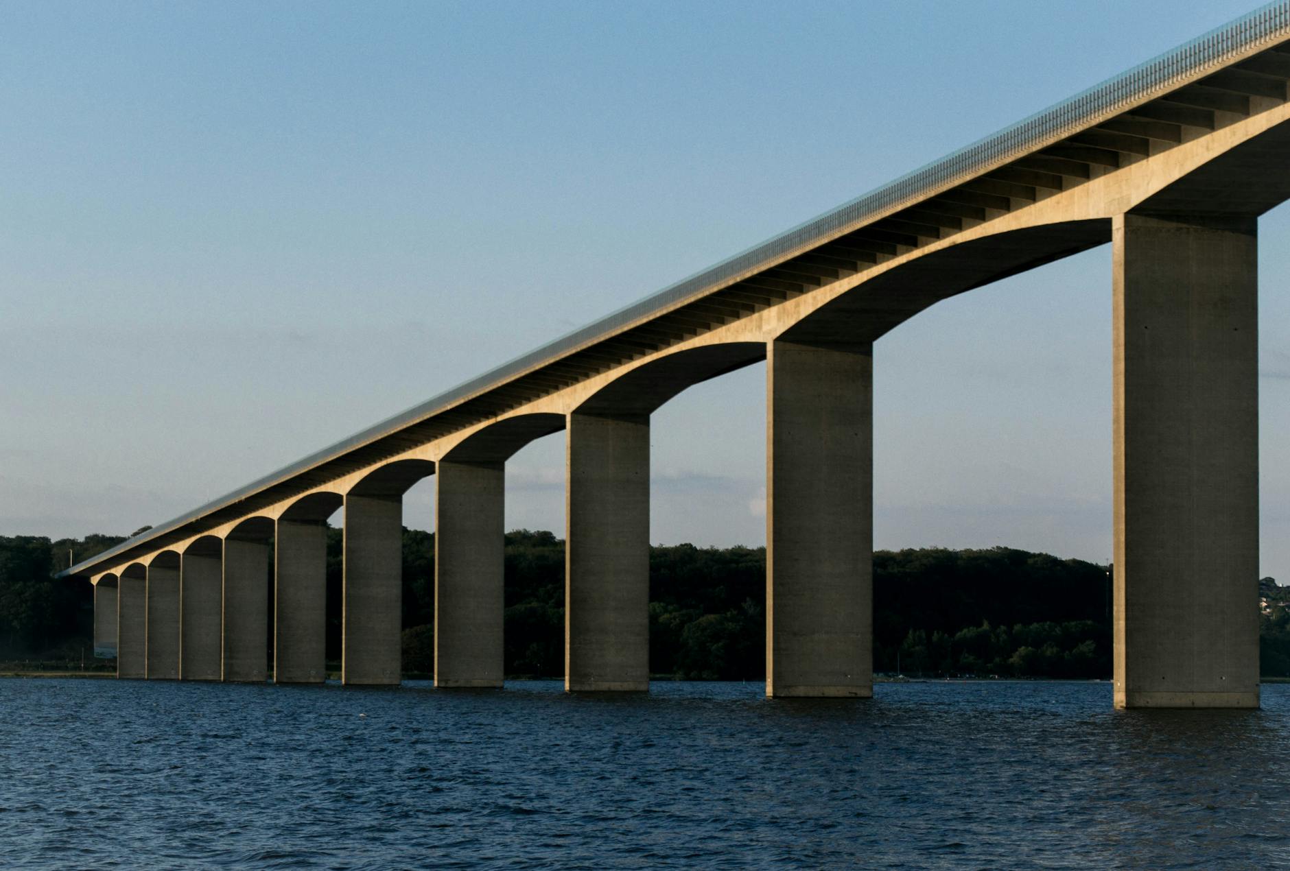 bridge near lake