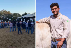 Cavalo de empresário morto aos 31 anos entra sozinho em arena e emociona amigos no Tocantins